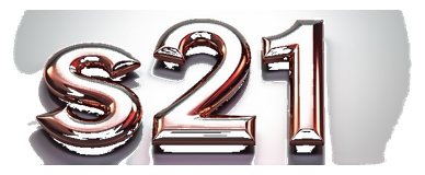 s21 logo